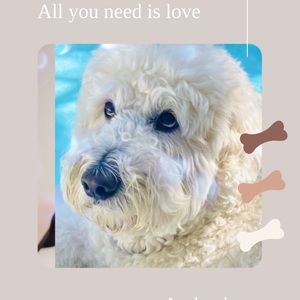 - Meet The Vice President 💕